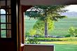 Country air - Bed & Breakfast Accommodation in Rosetta, Midlands