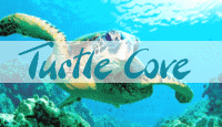 Turtle Cove Turtle Cove