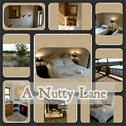 A Nutty Lane A Nutty Lane