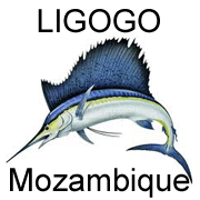 Ligogo No 5 Ligogo No 5