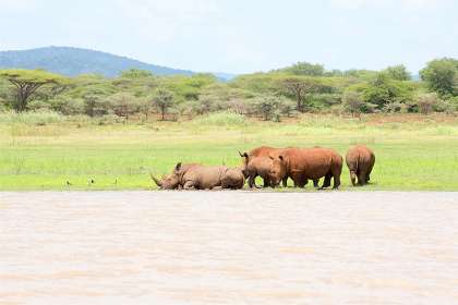 Ekuthuleni Lodge at Royal Jozini
