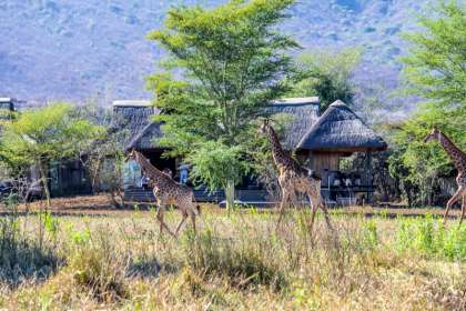 Imvubu Lodge at Royal Jozini