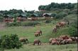Addo Rest Camp - Addo Elephant Park, Eastern Cape