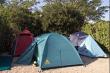 Tent Site - Addo Rest Camp, Addo Elephant Park, Eastern Cape