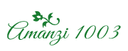 Amanzi 1003 Amanzi 1003