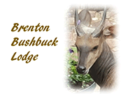 Brenton Bushbuck Lodge Brenton Bushbuck Lodge