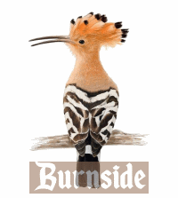 Burnside Lodge Burnside Lodge