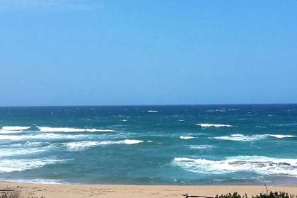 9 Mockingbird Chalets