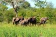 Kruger Park Game Reserve Accommodation
