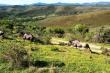 Pabala Private Nature Reserve - Loerie Game Reserve Accommodation