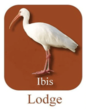 Ibis Lodge Ibis Lodge