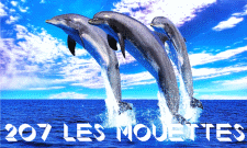 207 Les Mouettes 207 Les Mouettes