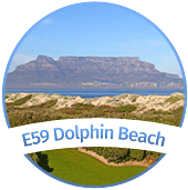 E59 Dolphin Beach E59 Dolphin Beach