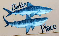 Buddy's Place Buddy's Place