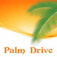Palm Drive Palm Drive