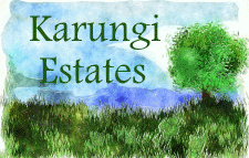 Karungi Estates Karungi Estates