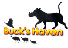 Buck’s Haven Bush Lodge Buck’s Haven Bush Lodge