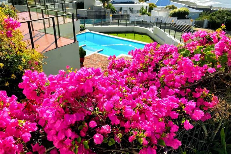 Flowering gardens with view over pool area