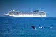 Visiting cruise ship with whale tail in front